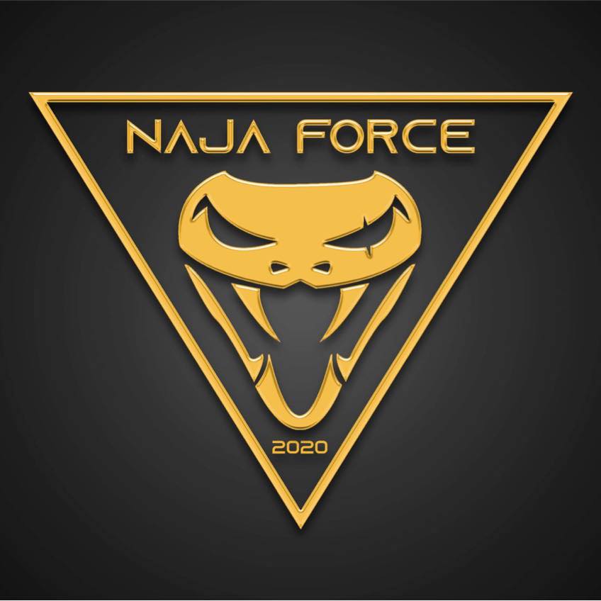 NAJAFORCE